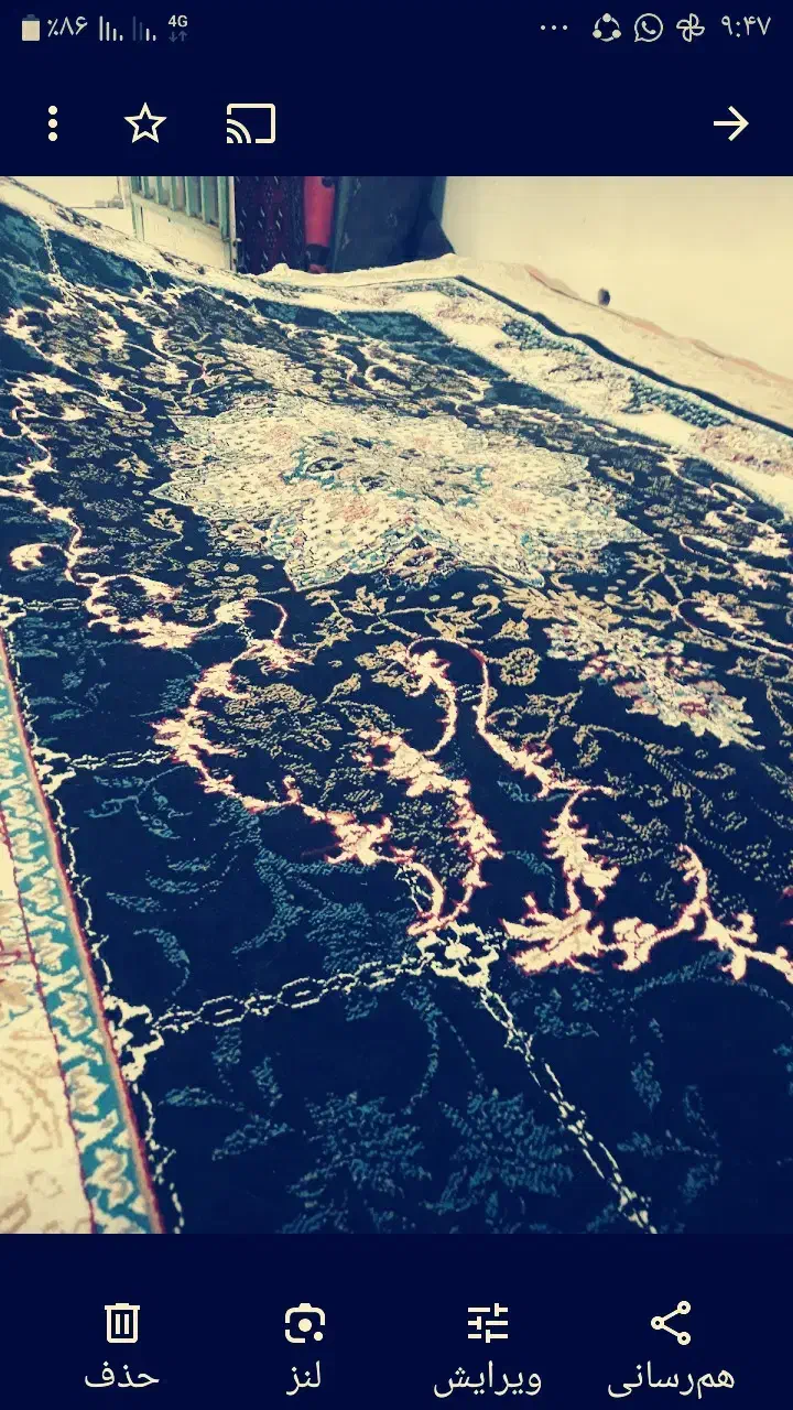 فرش درحدصفرسرمیی|فرش|سبزوار, بیهق شرقی|دیوار