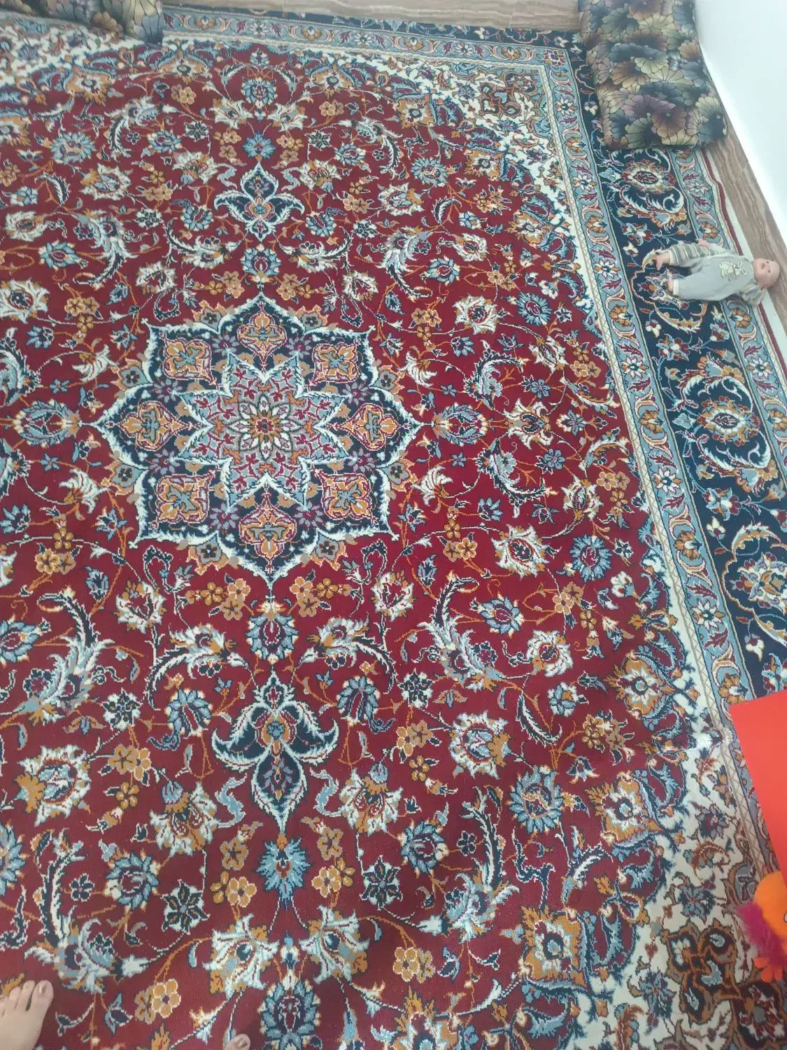 فرش نگین مشهد جنس قدیمی|فرش|سبزوار, علمدار|دیوار