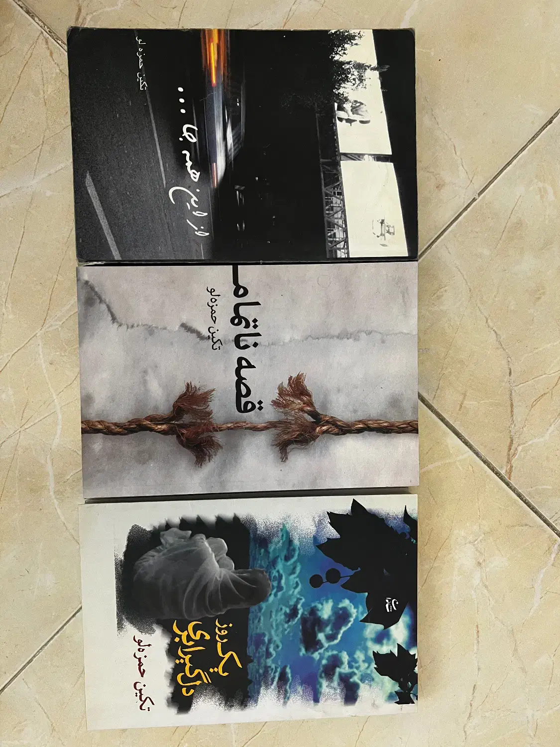 کتاب نویسنده نگین حمزه لو|کتاب و مجله تاریخی|تهران, جوادیه تهرانپارس|دیوار