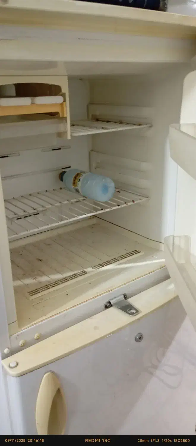 یخچال فریزر|یخچال و فریزر|دوگنبدان, |دیوار