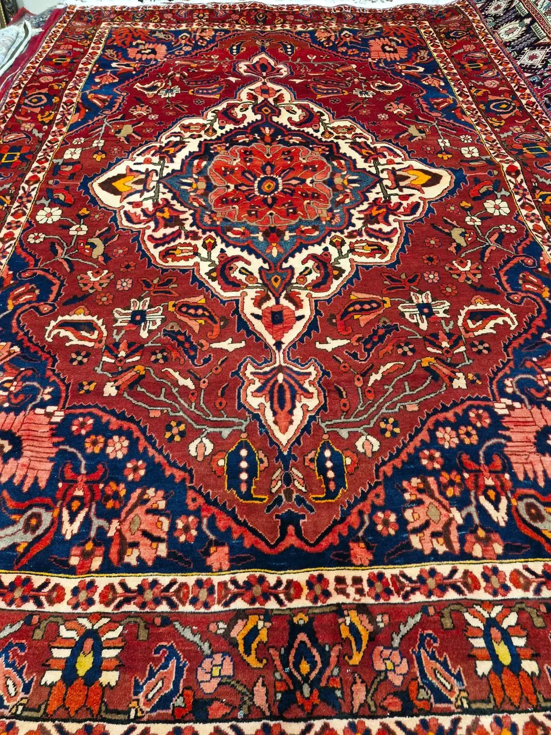 تک ۶ متری بختیاری|فرش|کرج, شهرک فهمیده|دیوار