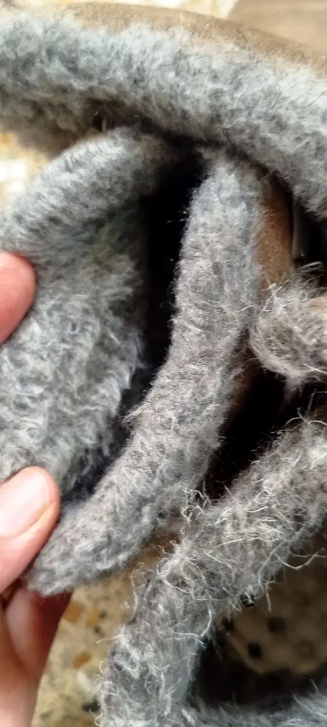 نیم بوت در حد نو|کیف، کفش، کمربند|پرند, فاز ۶|دیوار