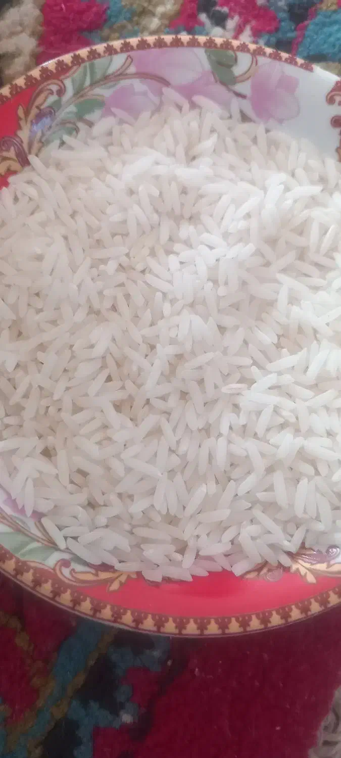 سلام 270کیلوبرنج طارم دم سیاه|خوردنی و آشامیدنی|آق قلا, |دیوار