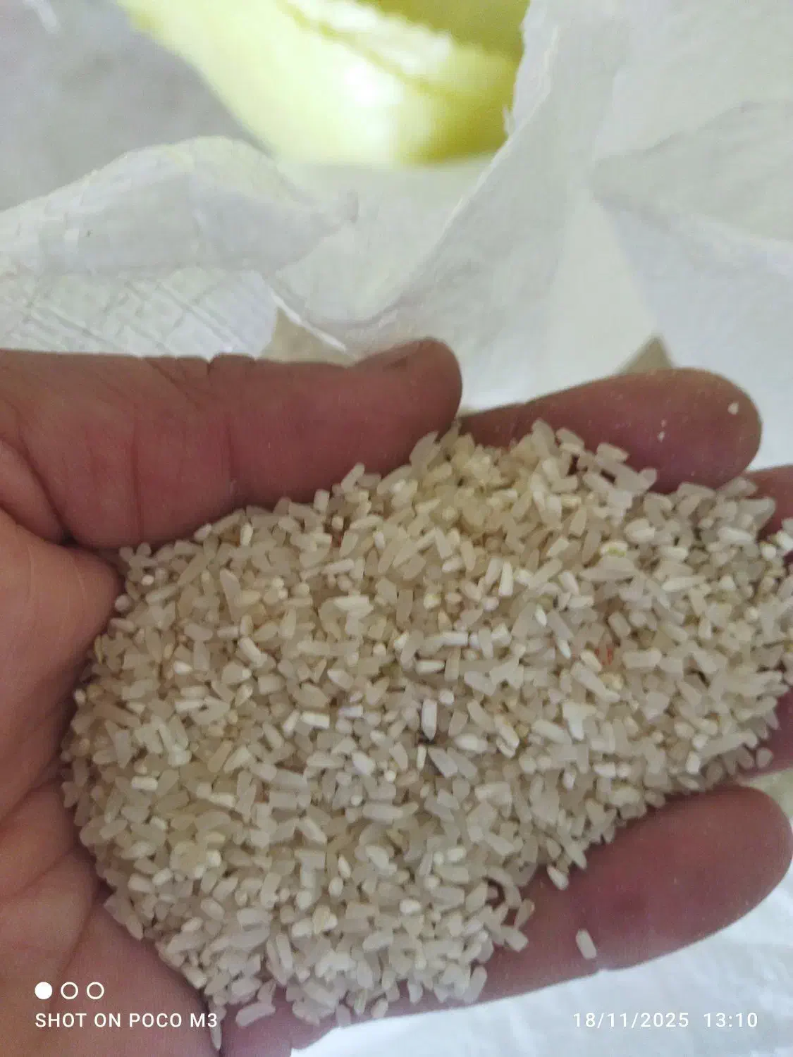 سرلاشه طارم درجه یک بون تخم علف تمیز|خوردنی و آشامیدنی|کلاله, |دیوار