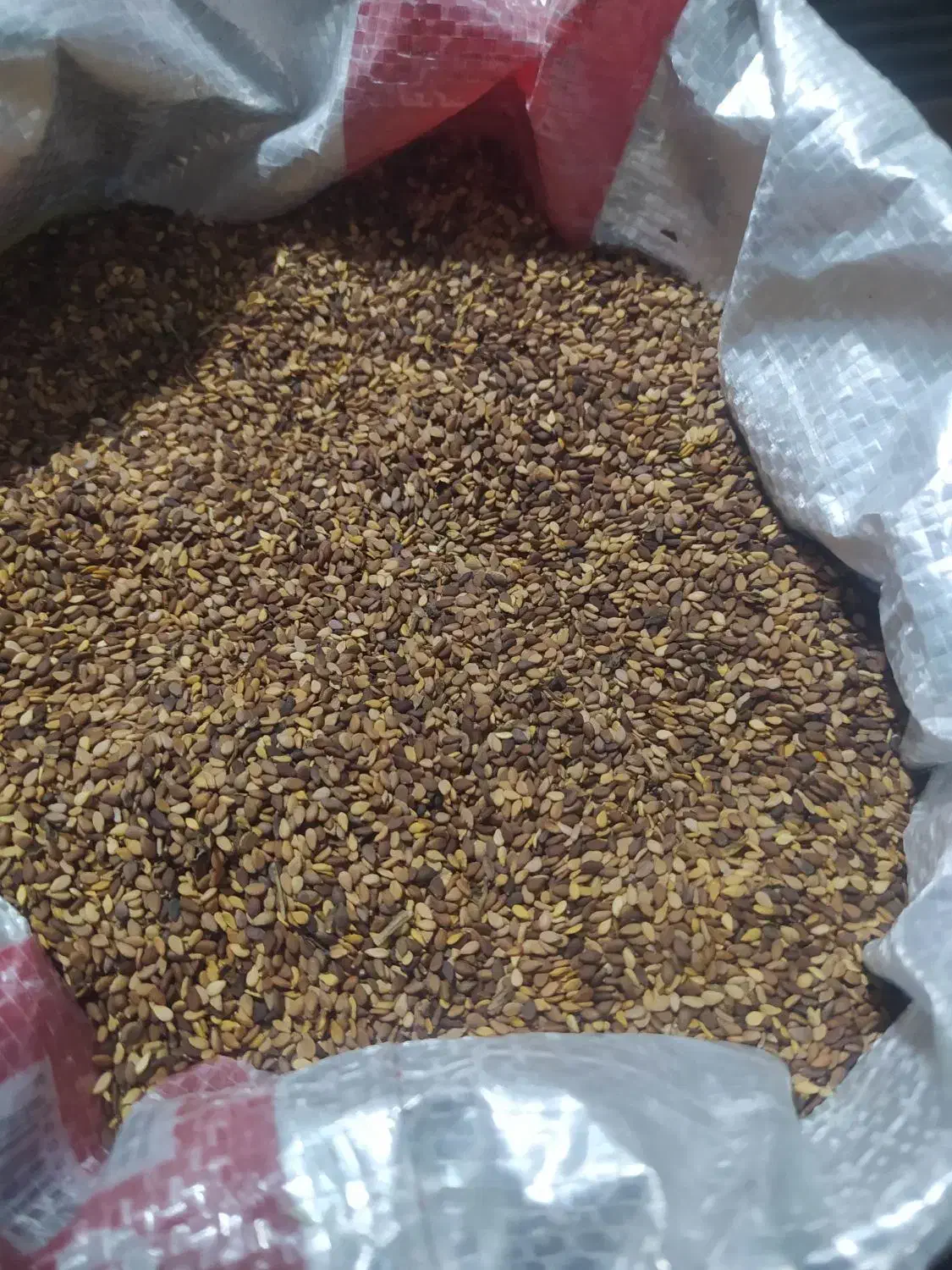 کنجد اصل محلی|خوردنی و آشامیدنی|اهواز, منازل سپاه|دیوار