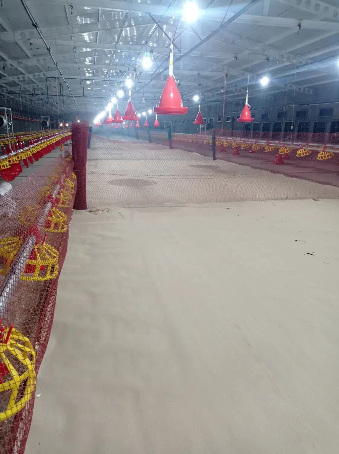 مرغداری مادر|استخدام صنعتی، فنی، مهندسی|مهاباد (آذربایجان غربی), |دیوار