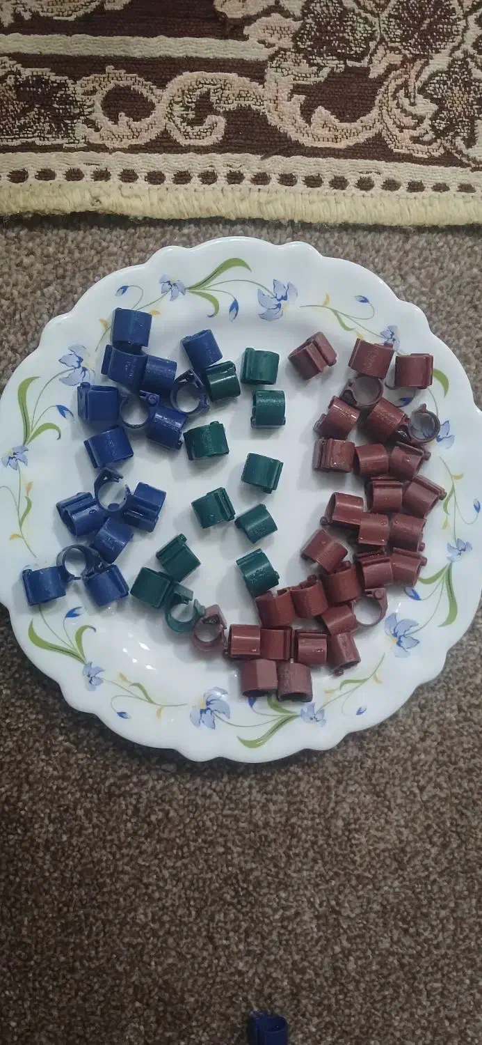 چفت بنزینگ کبوتر|لوازم جانبی حیوانات|سوسنگرد, |دیوار