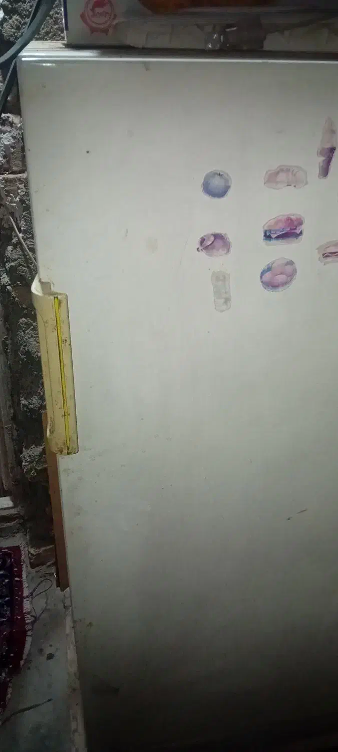 اجاق گاز قالی یخچال|فرش|مهریز, |دیوار