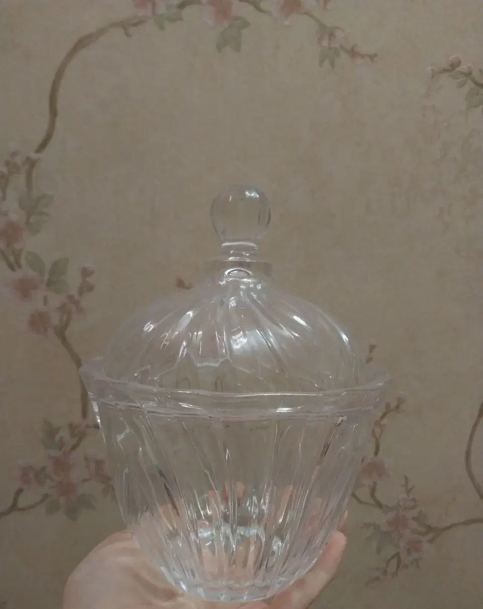 ظروف و لیوان چینی و ارکپال|ظروف سرو و پذیرایی|جهرم, |دیوار