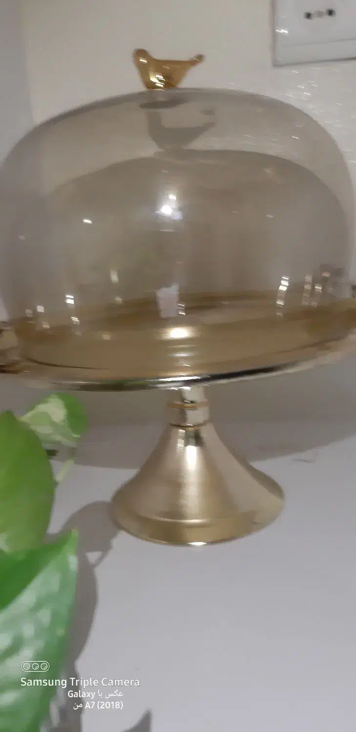 کاپ کیک|ظروف سرو و پذیرایی|آزادشهر, |دیوار