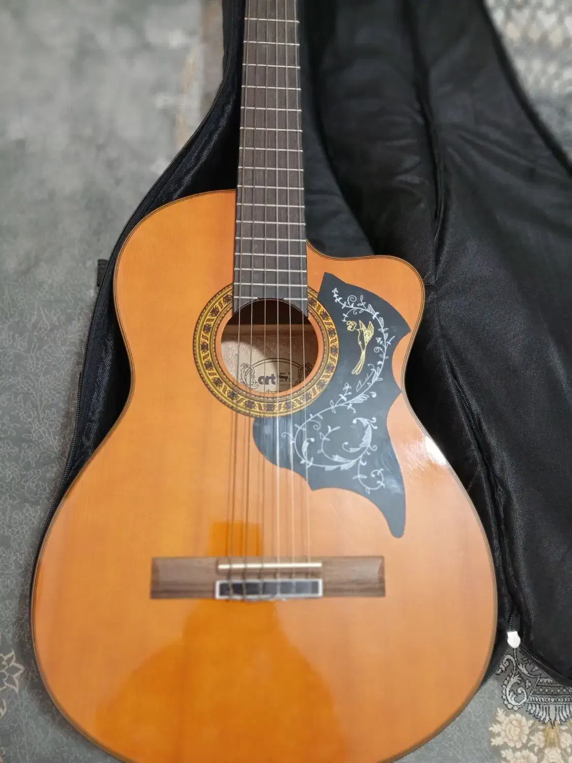 گیتار مناسب مبتدی تا حرفه|گیتار، بیس، امپلیفایر|هشتگرد, شهرک ایران خودرو|دیوار