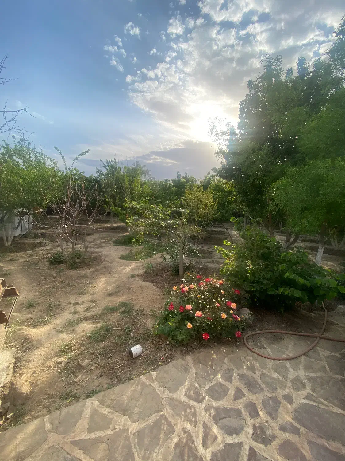 زمین دولت اباد پیست شیرباد|فروش زمین و ملک کلنگی|گلمکان, |دیوار