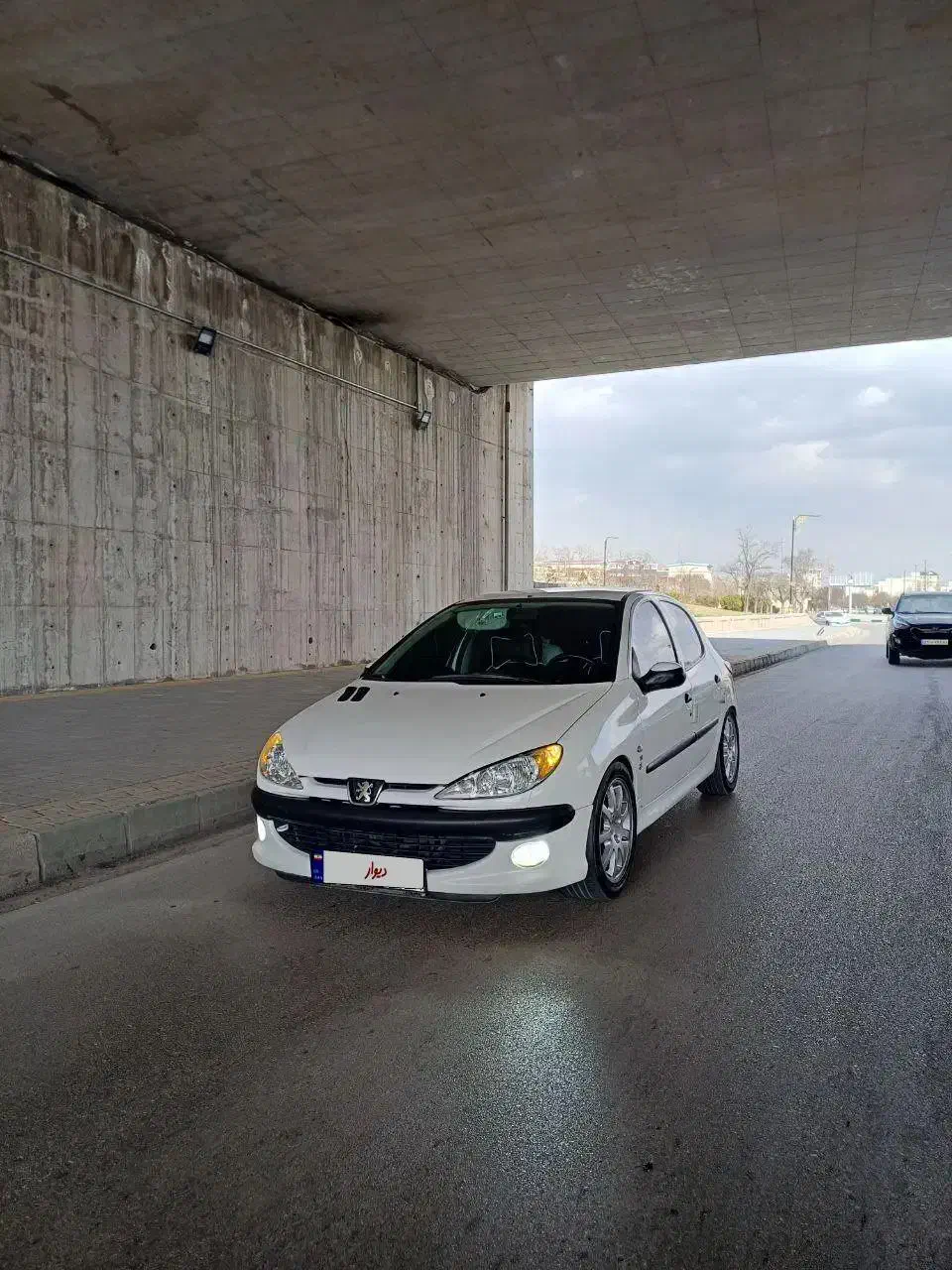 ۲۰۶|خودرو سواری و وانت|اردبیل, |دیوار