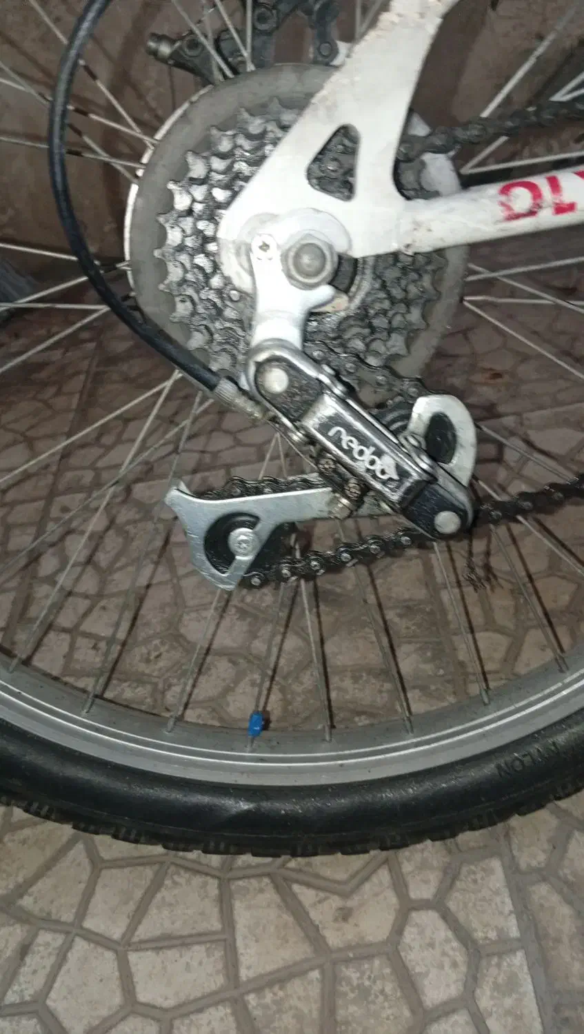 دوچرخه|دوچرخه، اسکیت، اسکوتر|مشهد, رده|دیوار