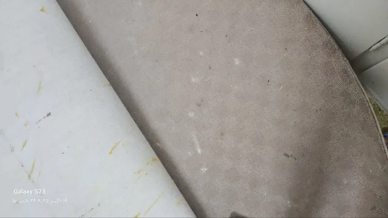 موکت سالم|موکت|مشهد, اقبال|دیوار