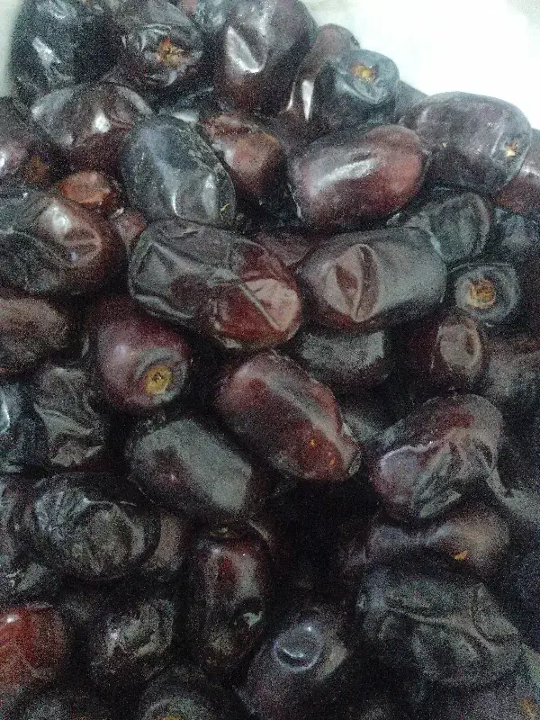 خرما|خوردنی و آشامیدنی|بم, |دیوار