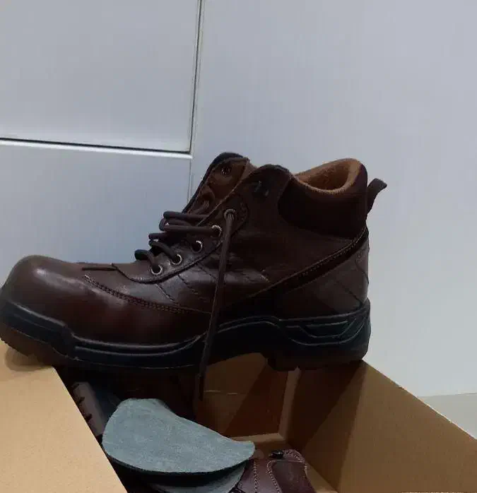 کفش ایمنی بهشتیان|کیف، کفش، کمربند|چمران, |دیوار