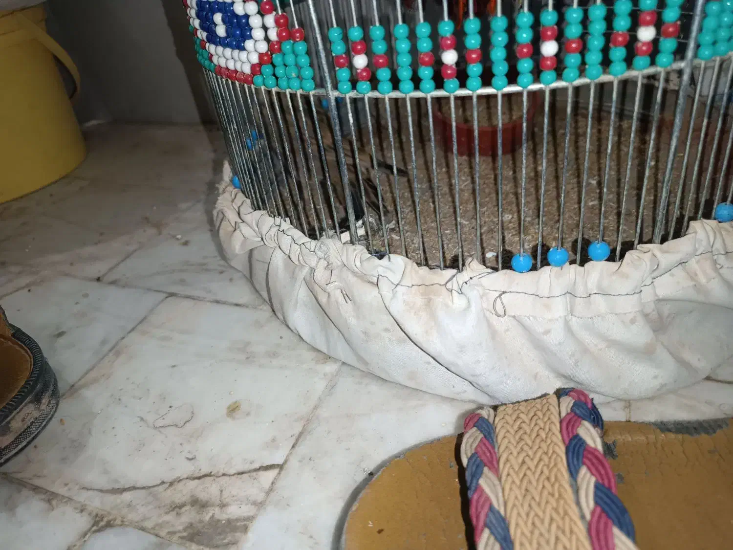 سره خاکی|پرنده|قم, حکمت شمالی|دیوار