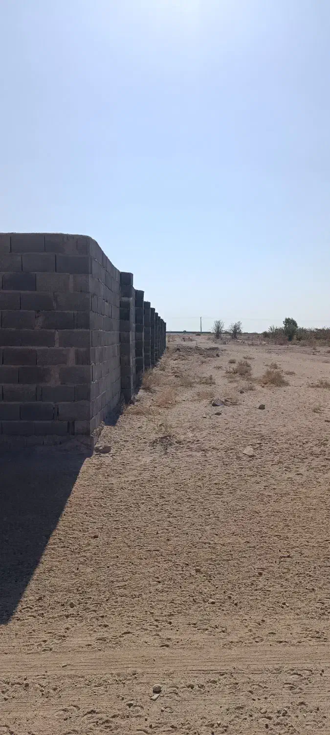 25قصب زمین کشاورزی|فروش زمین و ملک کلنگی|زید آباد, |دیوار