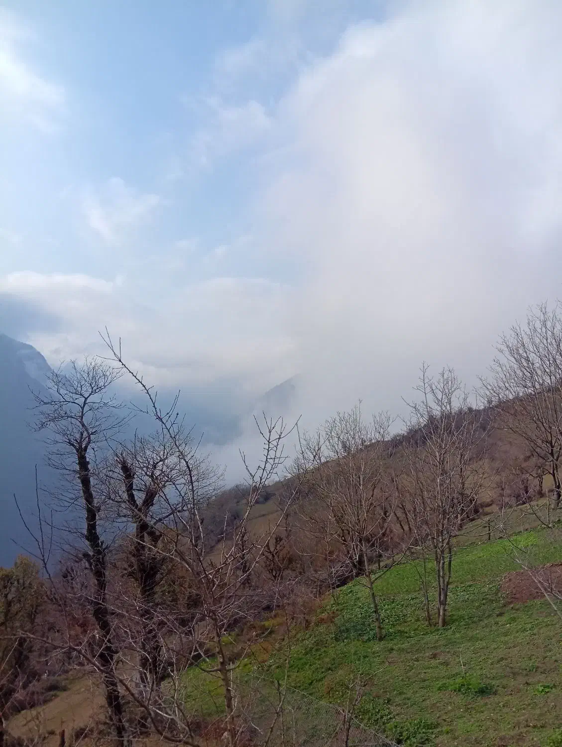 فروش زمین به مساحت ۱۰۰۰متر بامدارک کامل بروز|فروش زمین و ملک کلنگی|تالش, تالش|دیوار