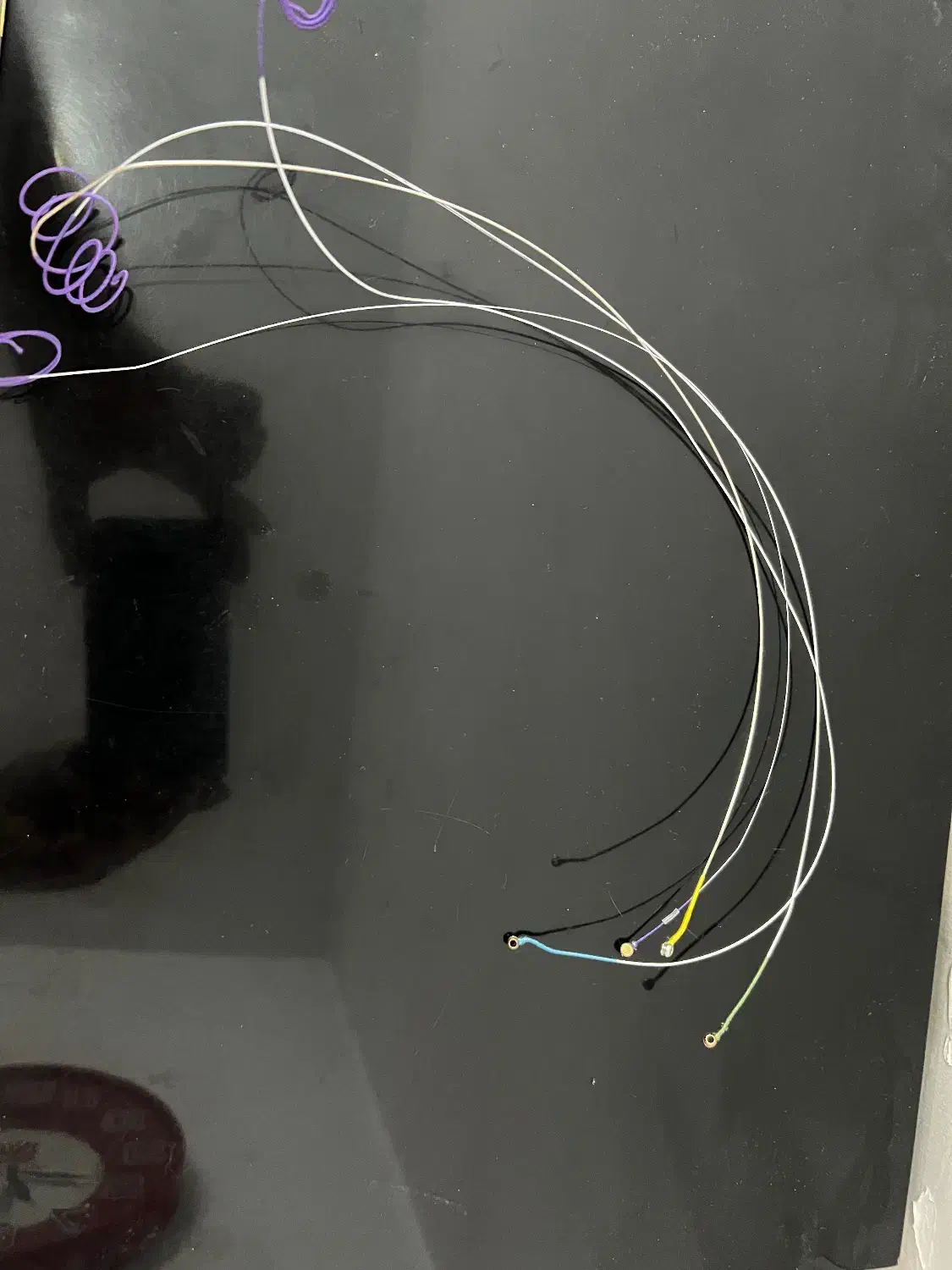 سیم ویولن دومینانت|ویولن|اصفهان, باغ دریاچه|دیوار