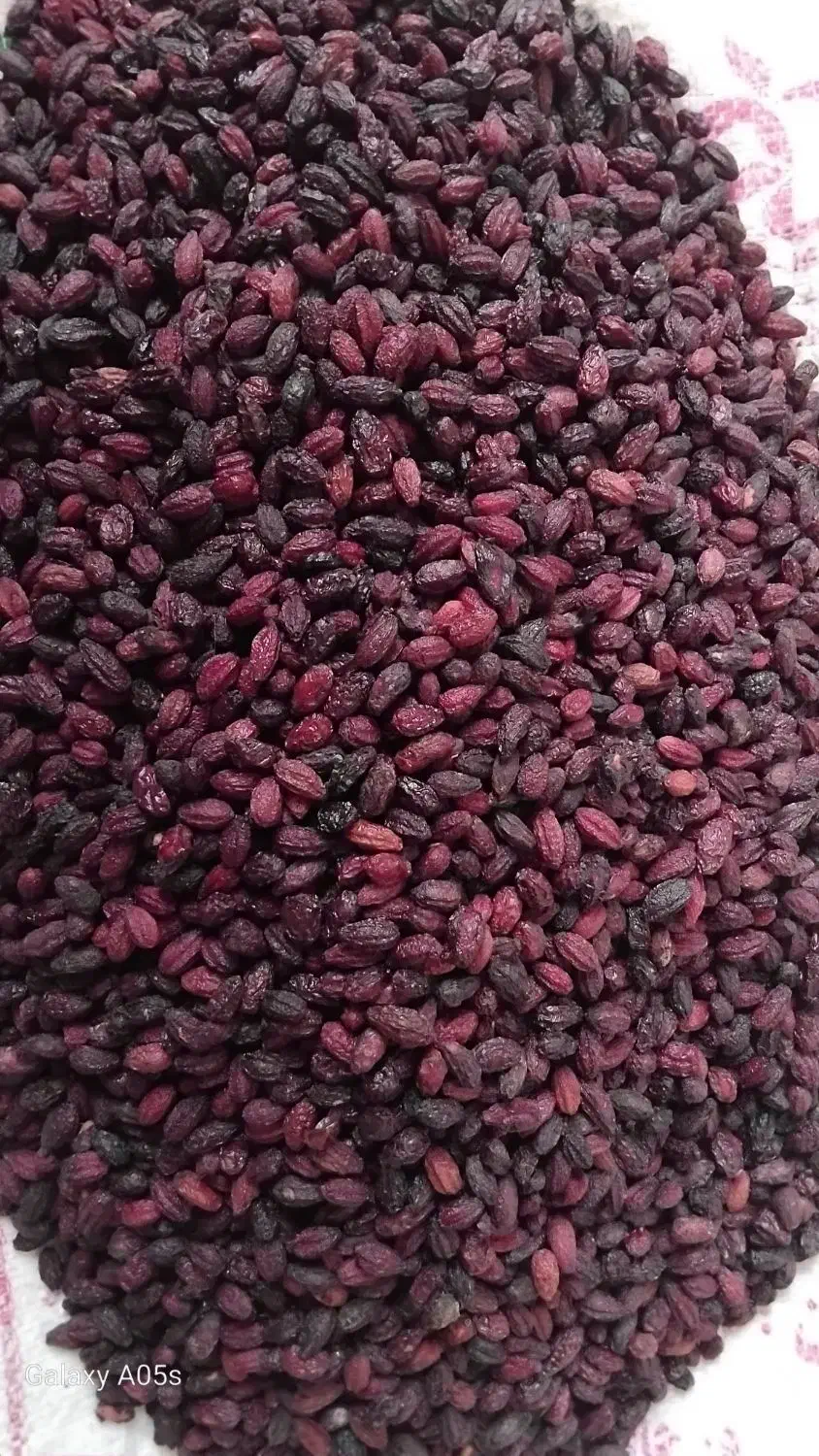 زغال اخته خشک الموت ارگانیک|خوردنی و آشامیدنی|قزوین, |دیوار