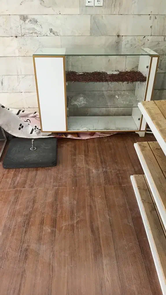 دکور و ویترین|کتابخانه، شلف، قفسه‌های دیواری|ری, جوانمرد قصاب|دیوار