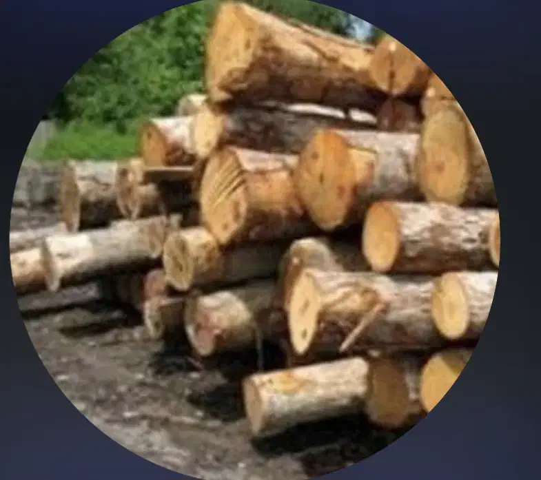 خریدار چوب|خدمات باغبانی و درختکاری|وحیدیه, |دیوار