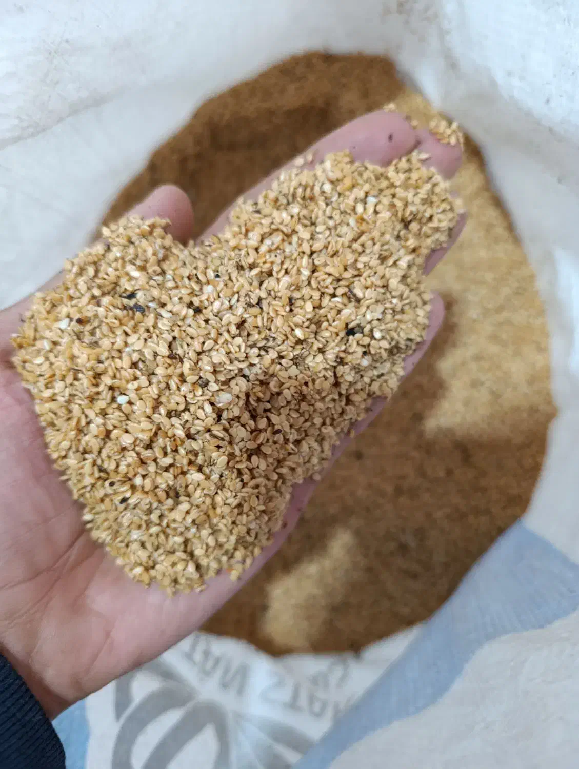 کنجد طلایی|خوردنی و آشامیدنی|زرقان, |دیوار