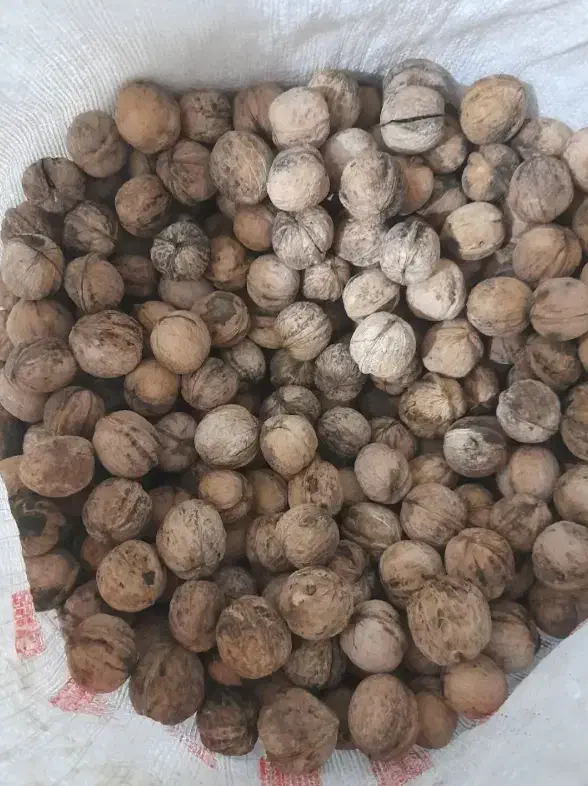 گردو تازه و خوش طعم خوانسار|خوردنی و آشامیدنی|خوانسار, |دیوار