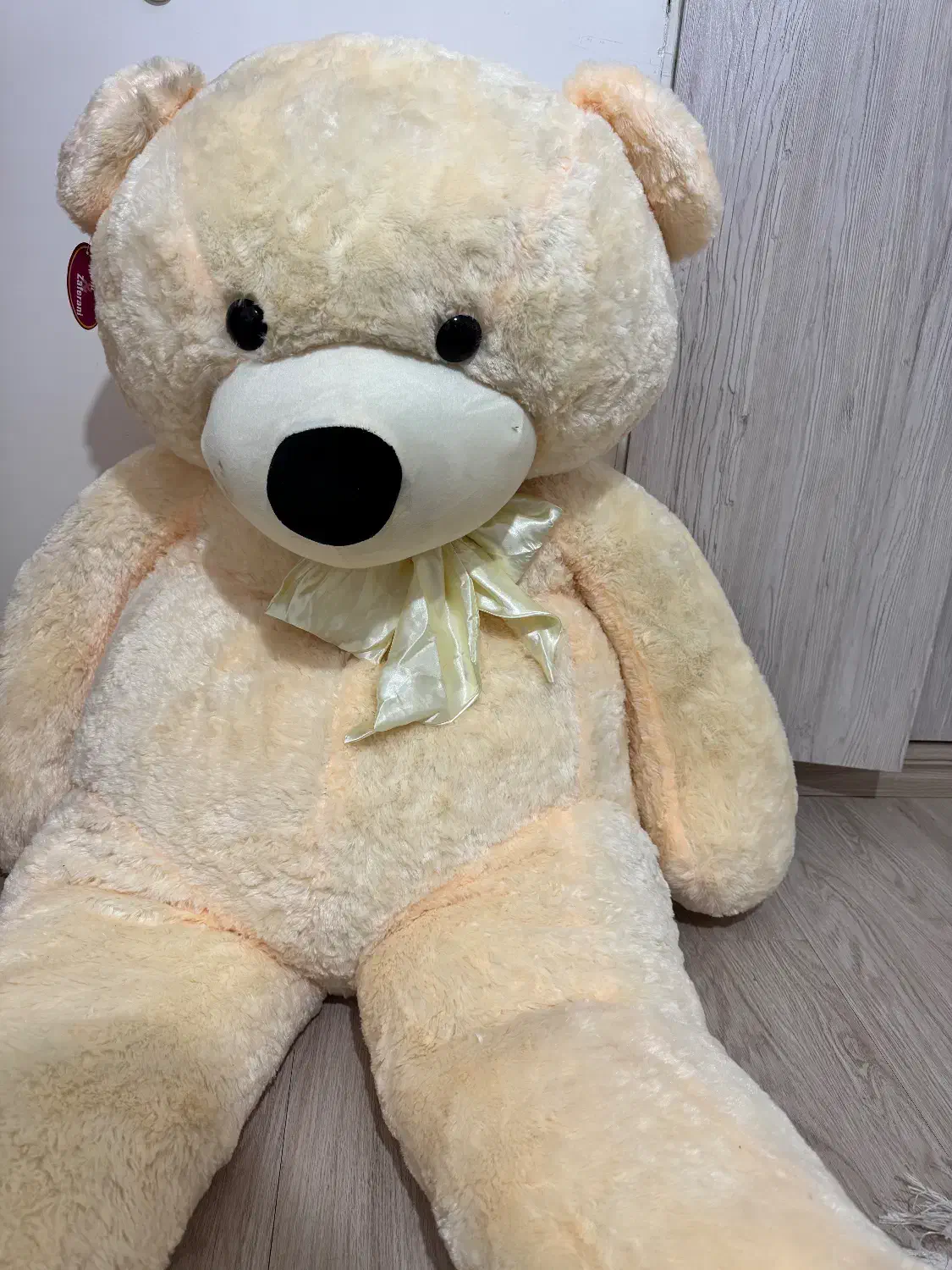 عروسک|اسباب‌‌بازی|تبریز, |دیوار