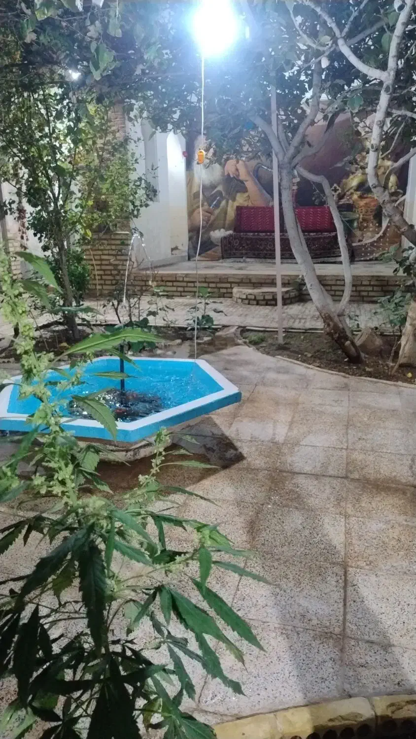 چایخانه فروشی ادرس شهدا دانشگاه 2همراه باپیج کافه|کافیشاپ و رستوران|بیرجند, |دیوار