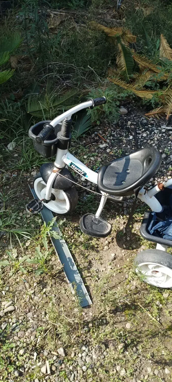 سه چرخه و صندلی ماشین|کالسکه و لوازم جانبی|بندر انزلی, شیلات|دیوار