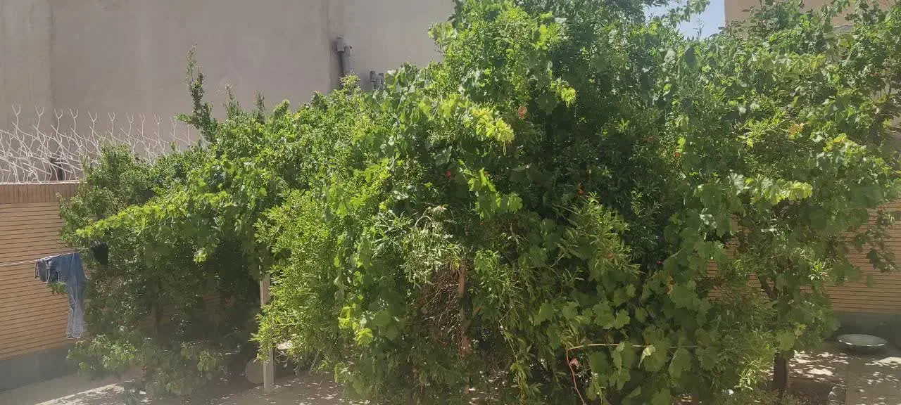 ویلایی گلدیس خیابان ابوذر ۲۰۳ متری جنوبی|فروش خانه و ویلا|شاهینشهر, شهرک گلدیس|دیوار