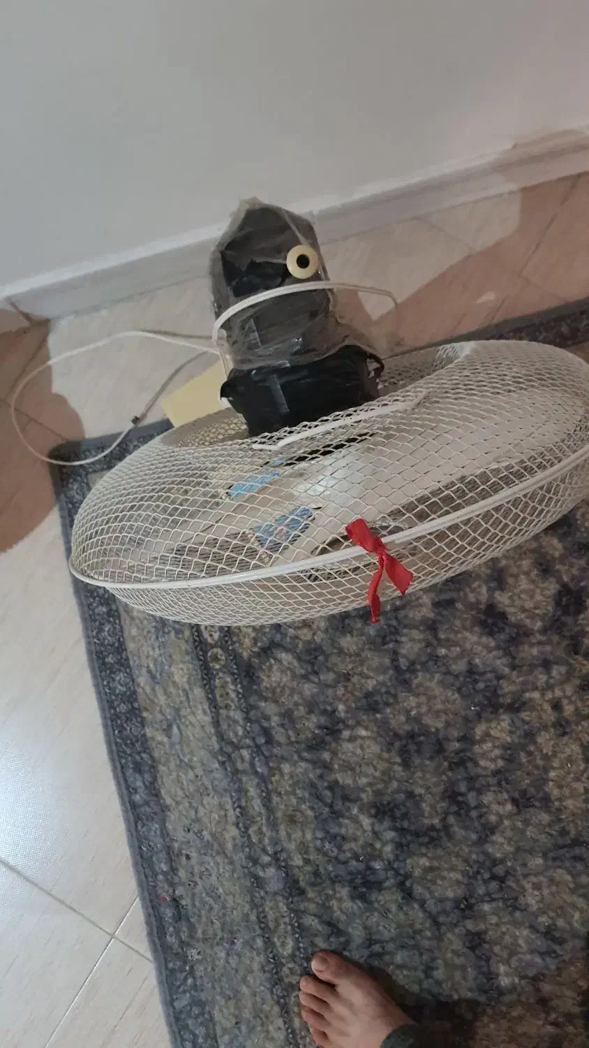 پنکه|پنکه و تصفیهکنندهٔ هوا|مشهد, امیریه|دیوار