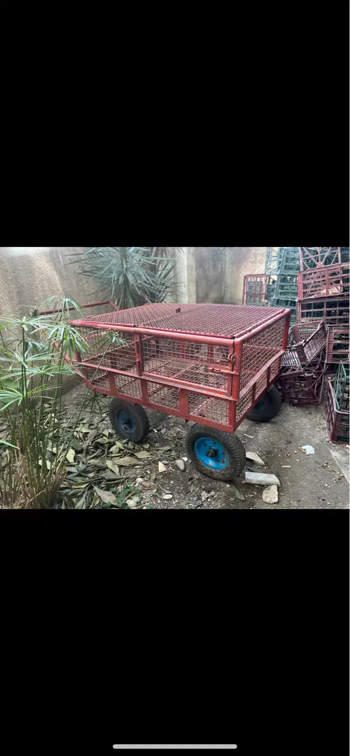 گاری|کالسکه و لوازم جانبی|رضوانشهر, |دیوار