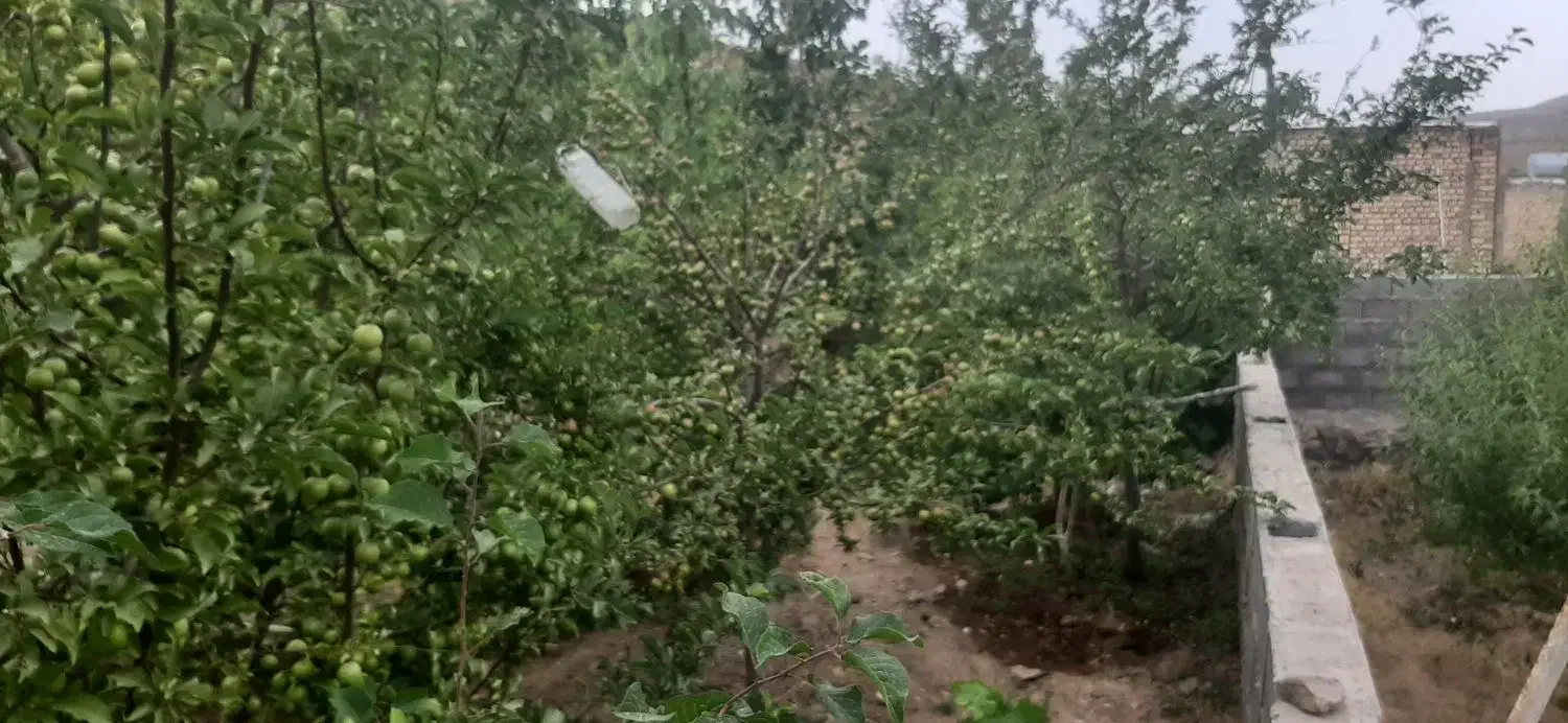 چهار حبه ملک  احمد آباد خیاری دهج|فروش زمین و ملک کلنگی|دهج, |دیوار