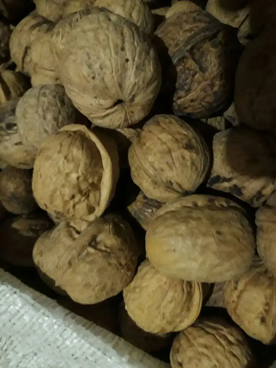 گردو محلی|خوردنی و آشامیدنی|طاغنکوه, |دیوار