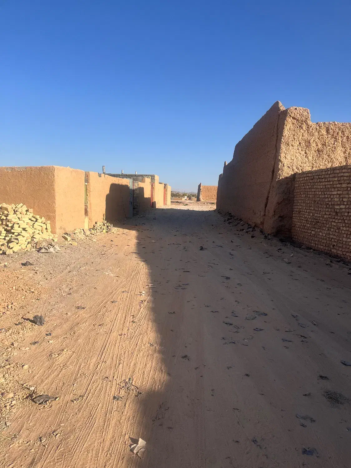 زمین باغی مهریز|فروش زمین و ملک کلنگی|مهریز, |دیوار