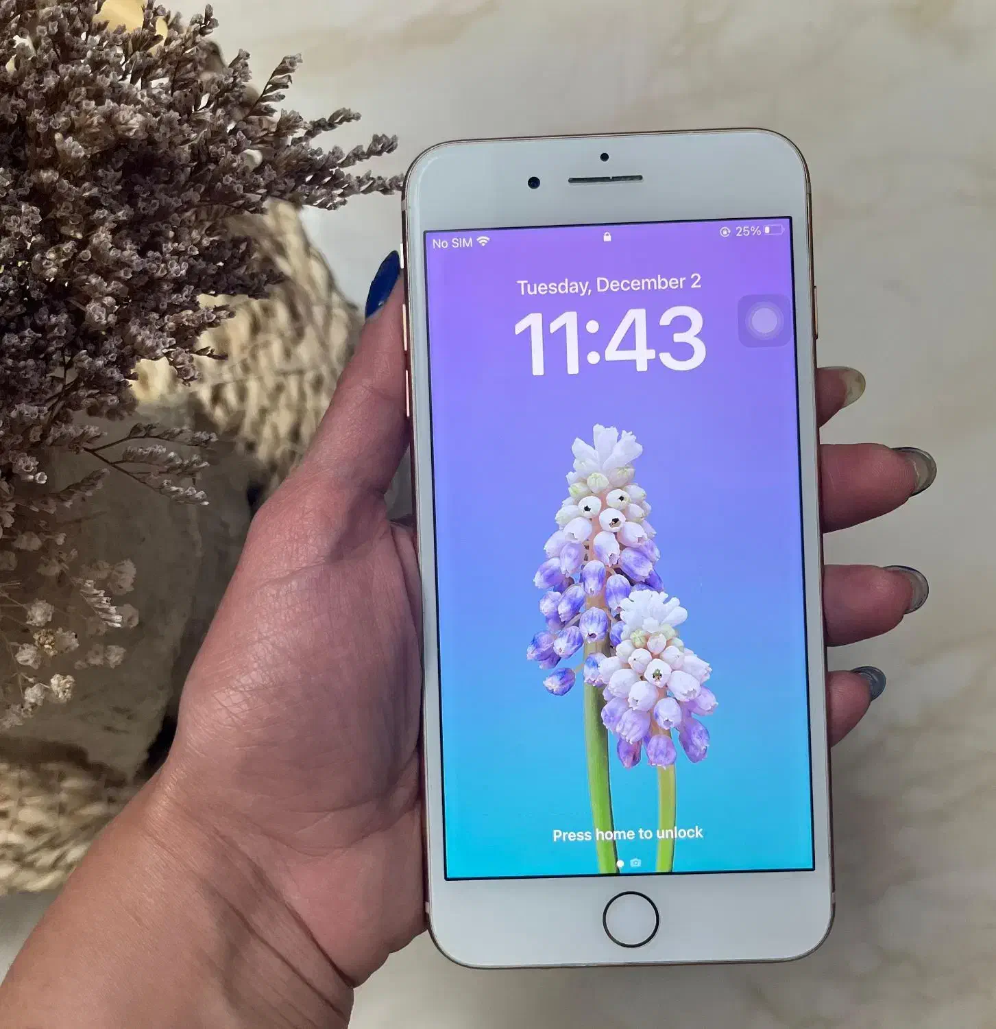 ایفون ۸ پلاس ۲۵۶|موبایل|رشت, شهرک آیت الله منتظری|دیوار