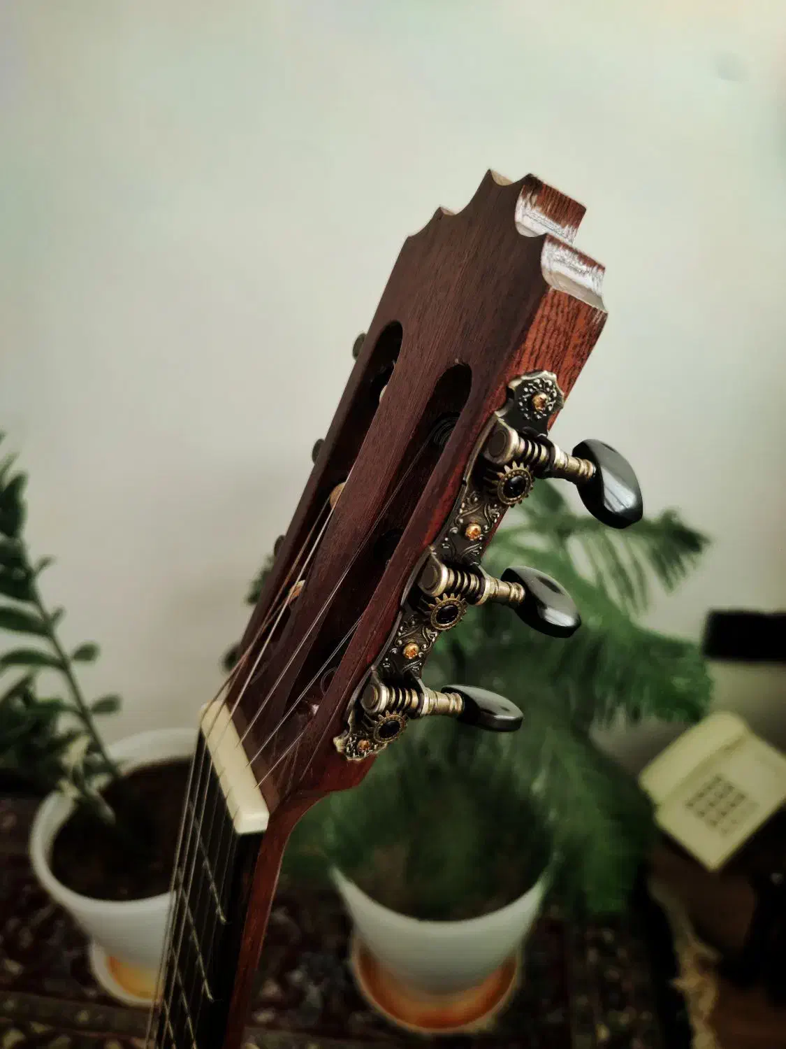 نسخه ی کاستوم گیتار الحمبرا (بهترین متریال)|گیتار، بیس، امپلیفایر|مشهد, حجاب (شهرک غرب)|دیوار