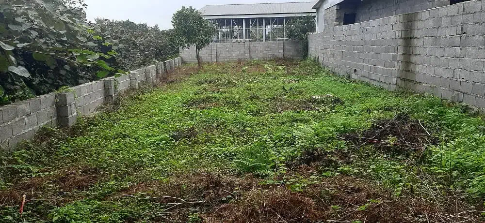 زمین با کاربری مسکونی|فروش زمین و ملک کلنگی|چابکسر, |دیوار