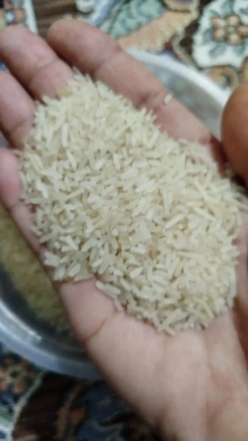 نیم دانه برنج تامیما به شرط پخت وبا کیفیت ممتاز|خوردنی و آشامیدنی|خرمشهر, |دیوار