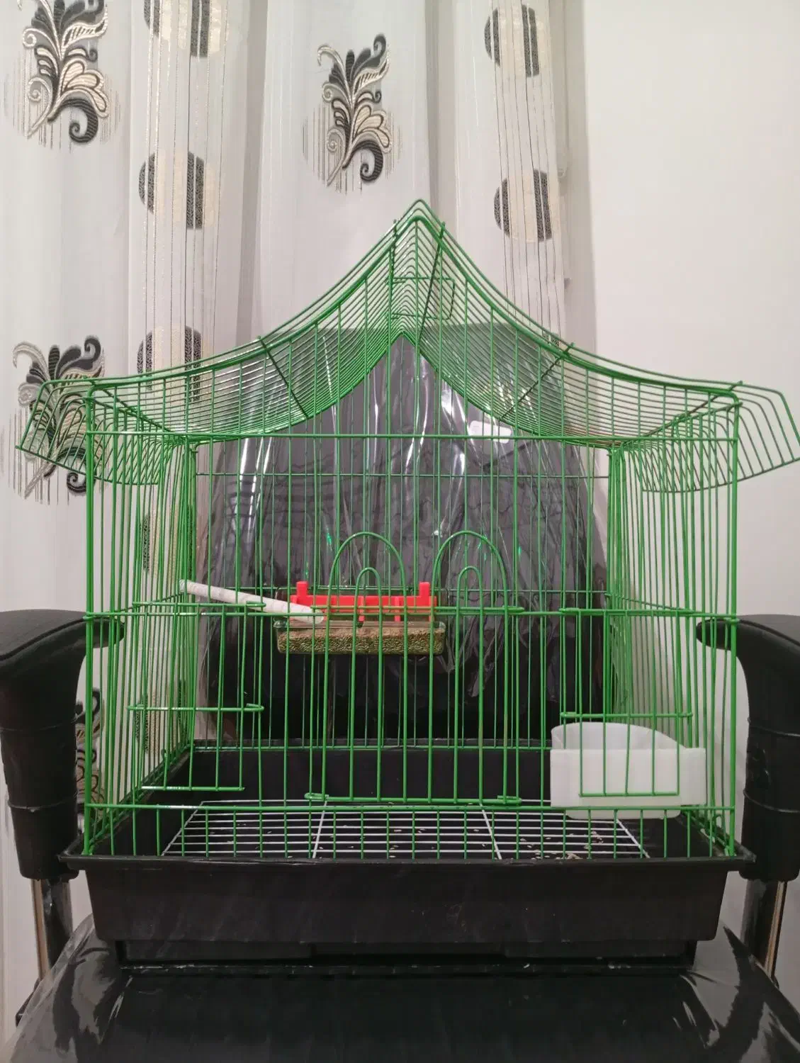 قفس پرنده|لوازم جانبی حیوانات|مراغه, |دیوار