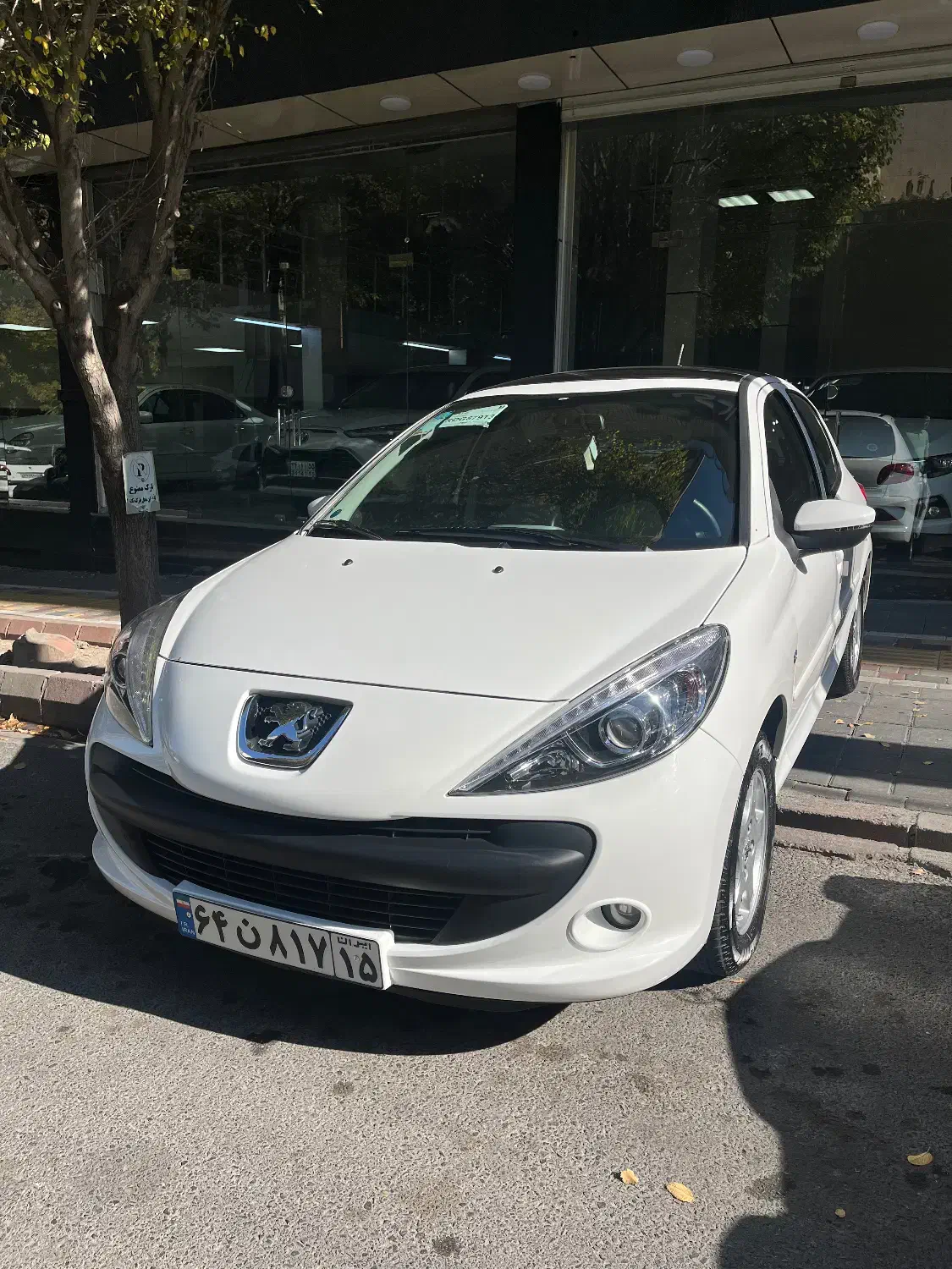 ۲۰۷ پانا مدل ۴۰۳|خودرو سواری و وانت|تبریز, |دیوار