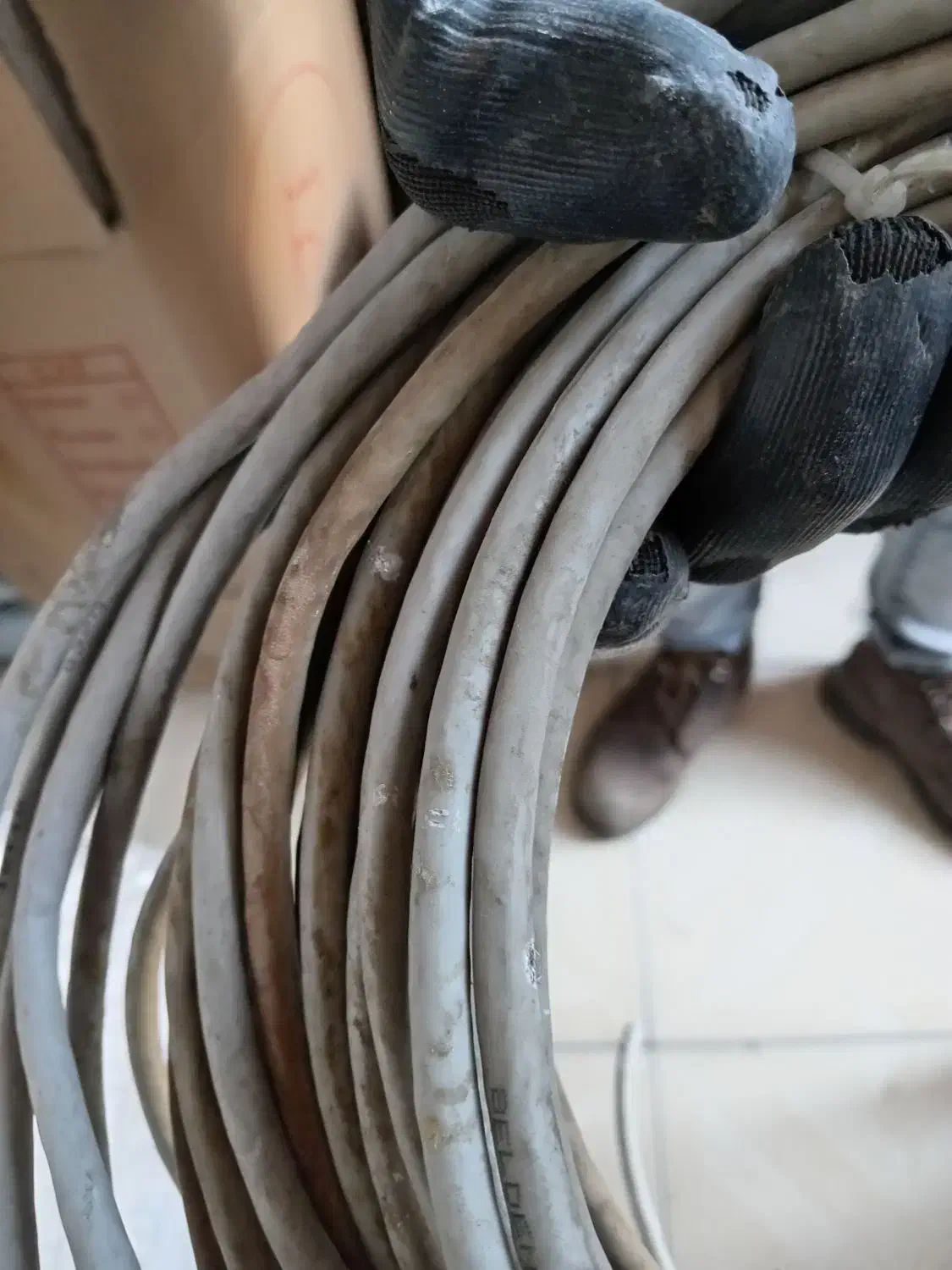 کابل شبکه|مودم و تجهیزات شبکه|تهران, شهرک فردوس (حسینی)|دیوار