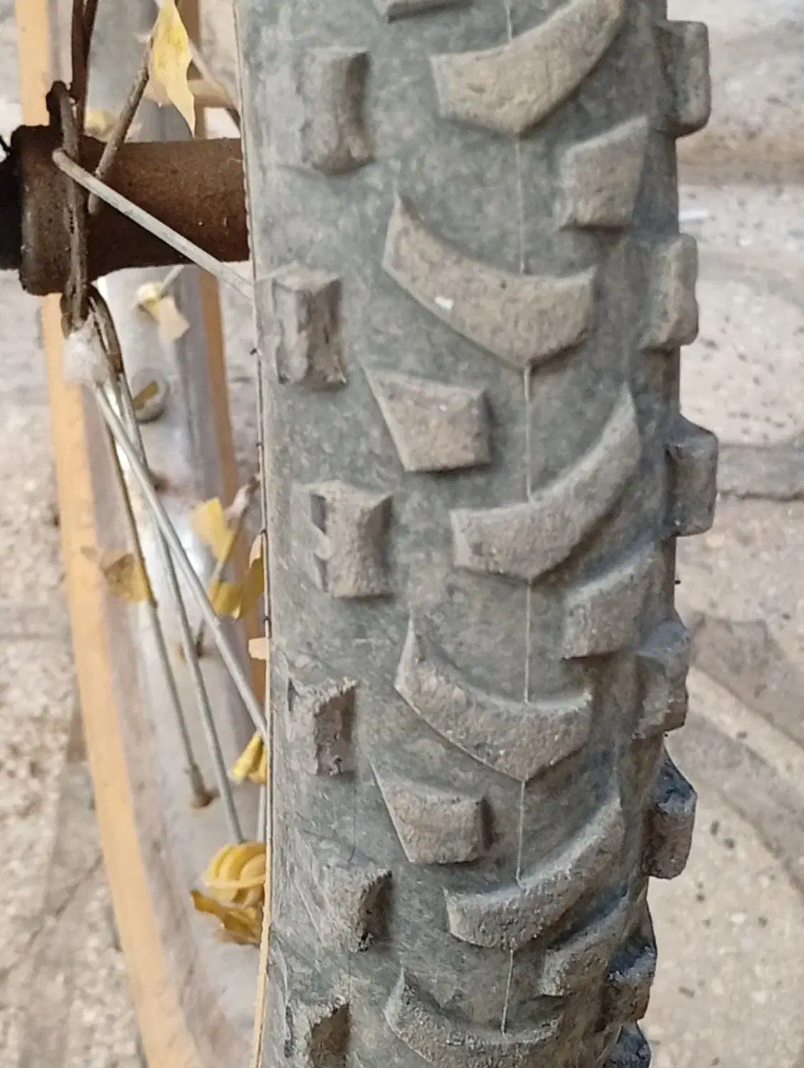 کفش|کیف، کفش، کمربند|سنقر, |دیوار