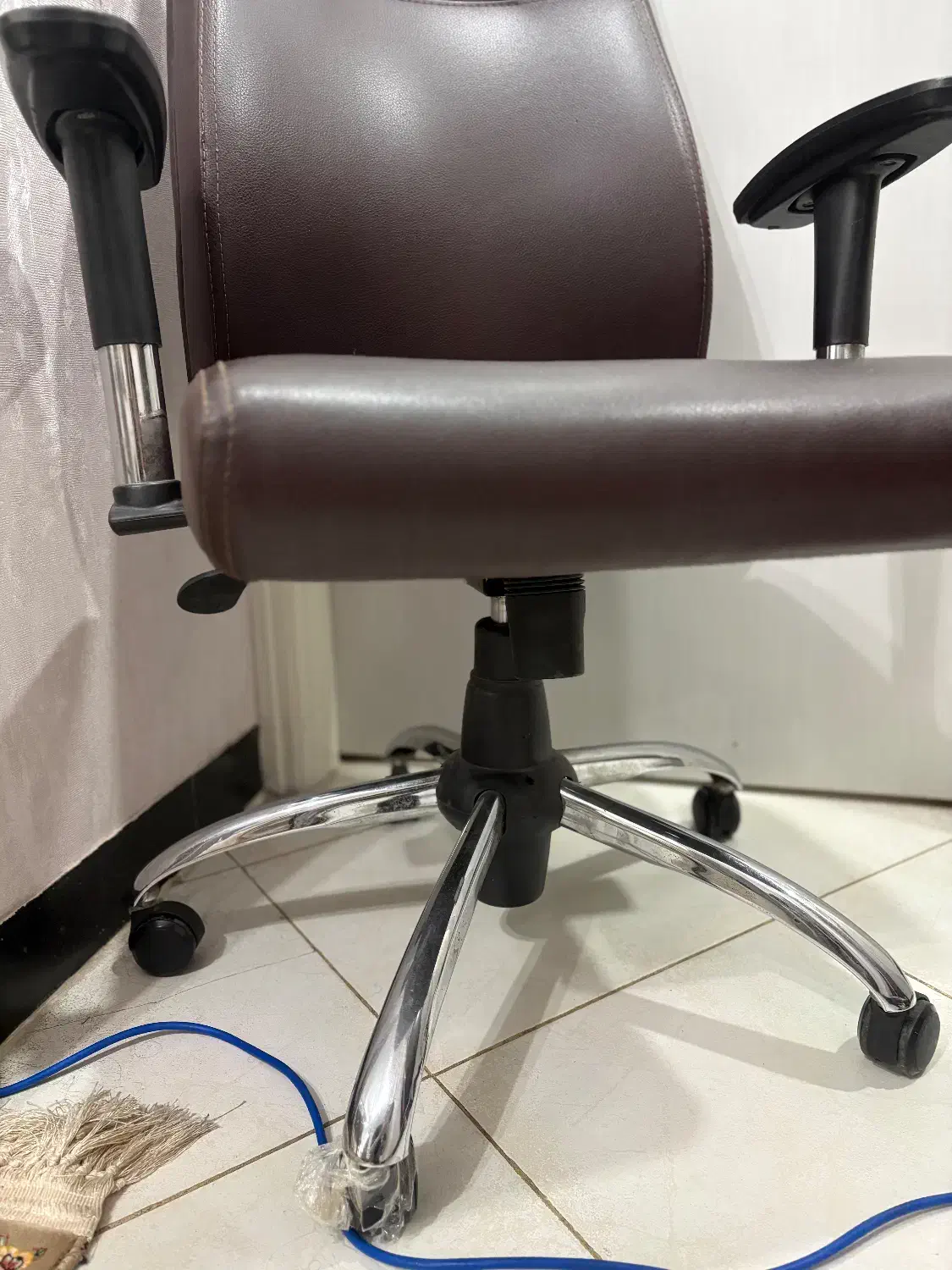 صندلی|صندلی و نیمکت|رشت, کاکتوس|دیوار