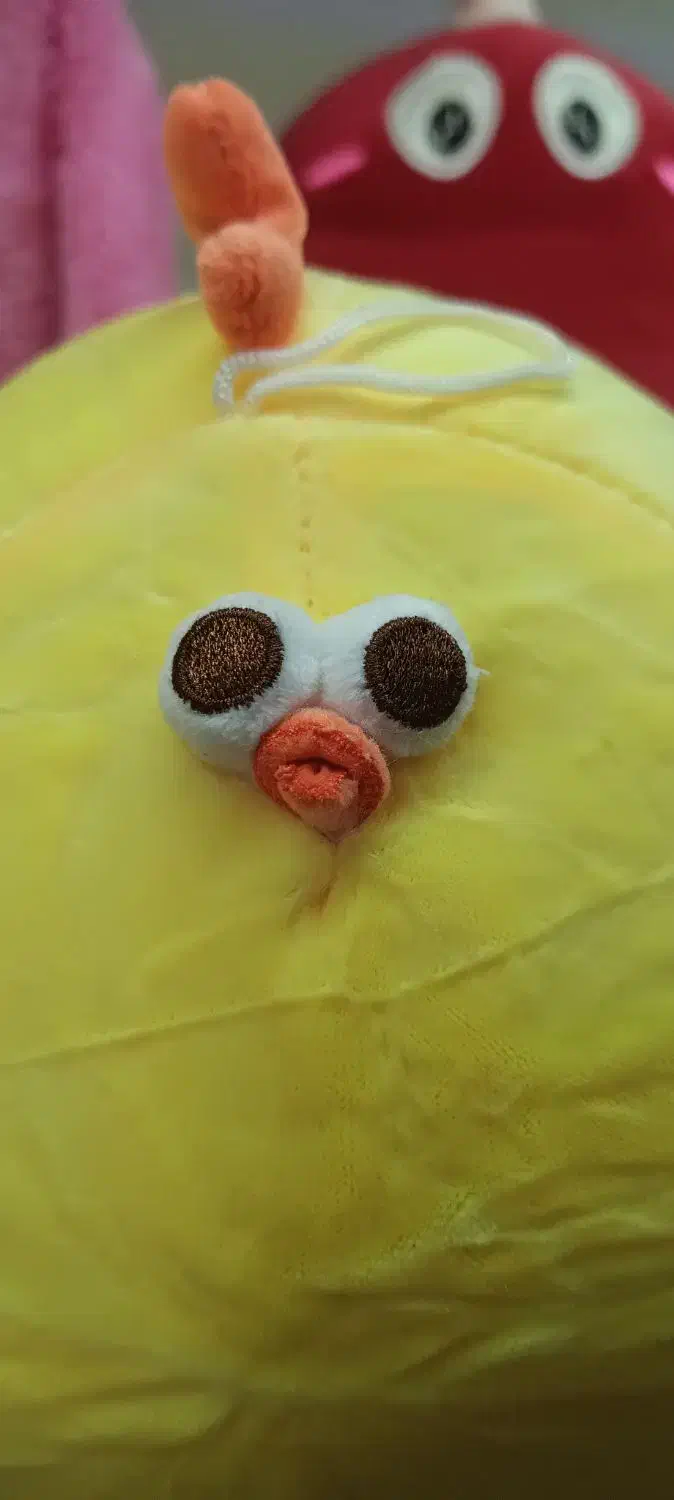 جوجه جوجه طلایی تو دوست خوب مایی|اسباب‌بازی بچه|لاهیجان, طالقانی|دیوار