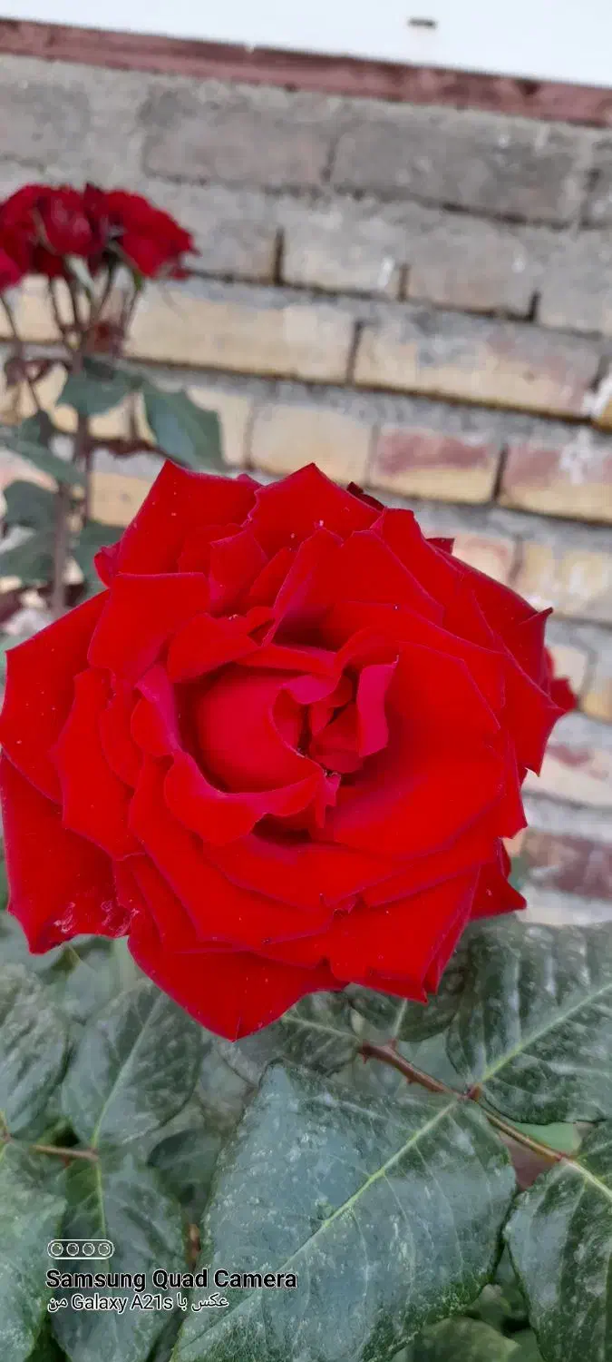 پیشنهاد کاری|استخدام مالی، حسابداری، حقوقی|ارومیه, |دیوار